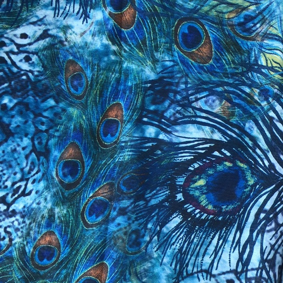 NWT Peacock Blue Sheer Tunic-Large - Picture 3 of 5